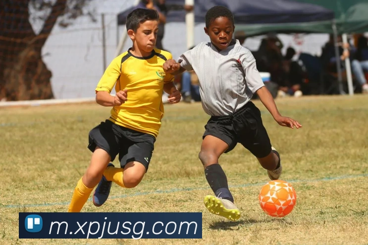 新葡京娱乐APP 封面图