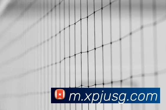 数据防护可视化